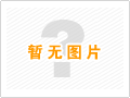 騰飛公司燈會(huì)制作技術(shù)